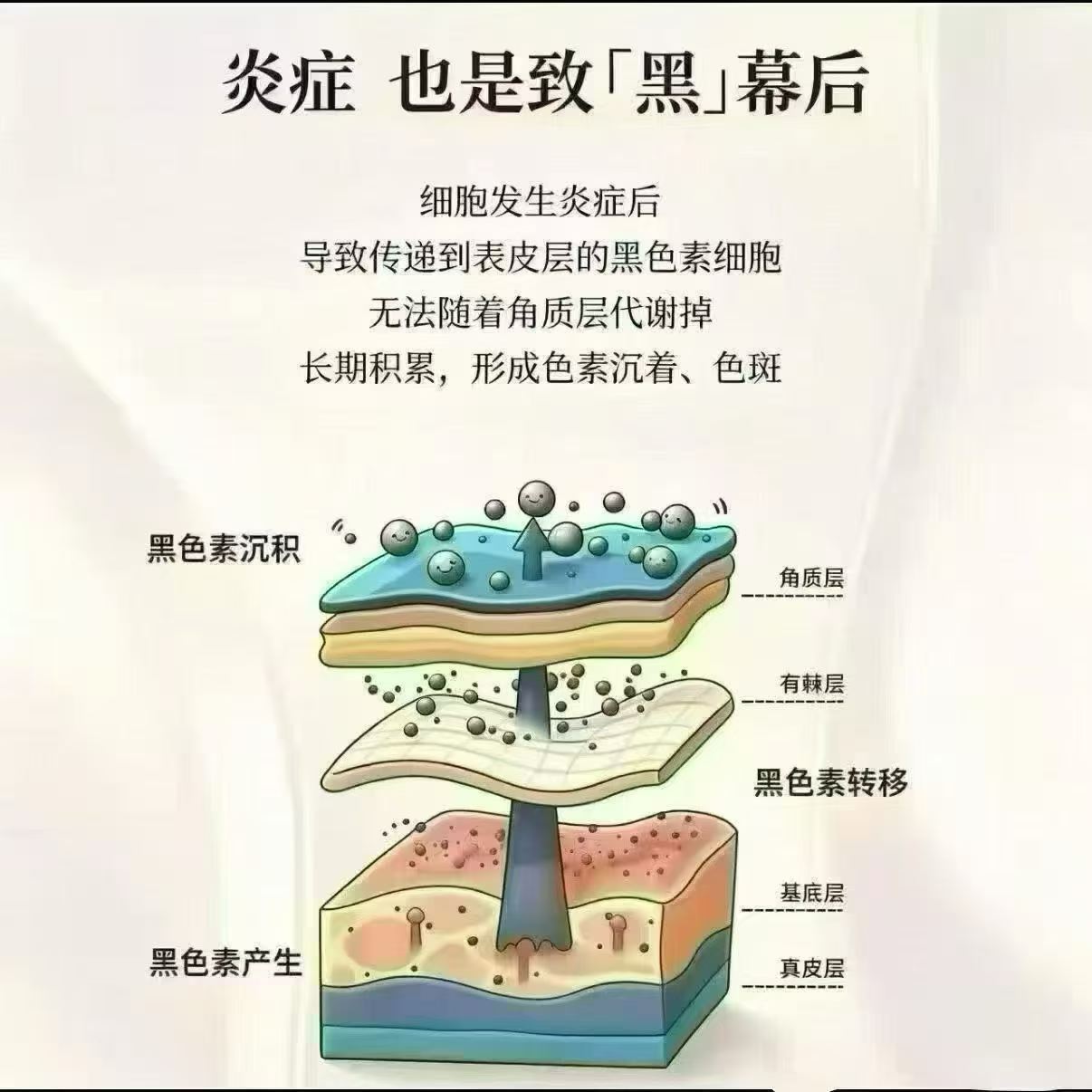 微信图片_2026-05-19_111454_610.jpg