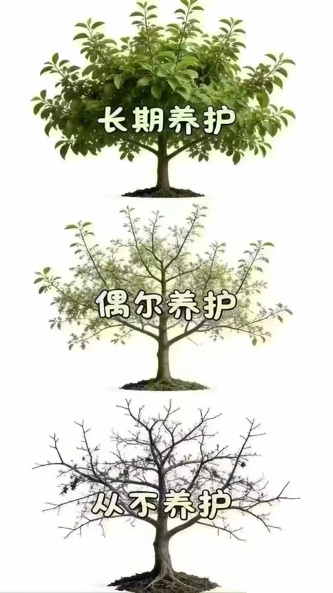 微信图片_2026-07-08_023223_301.jpg